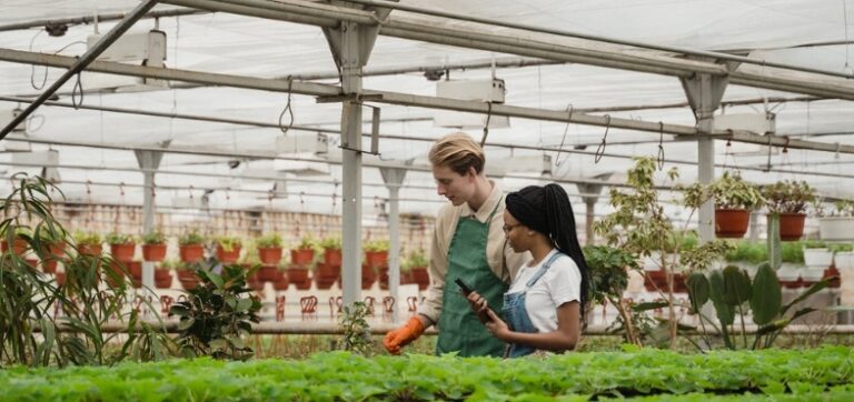 Digital Transformation of Traditional Industries: Key Challenges